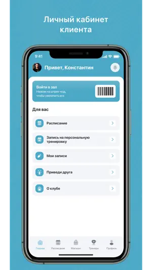 Ледяные крылья screenshot 1