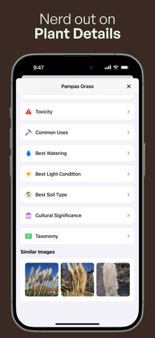 Plantena - AI Plant Identifier screenshot