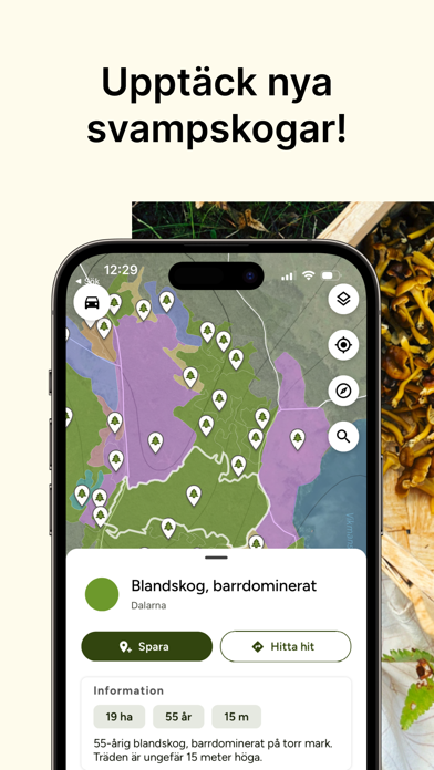 Hitta Skog: Svamp och Bär Screenshot