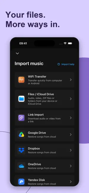 Lark Music:Lynk Offline Player screenshot 3