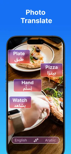 Universal translator Vault iPhone screenshot 2