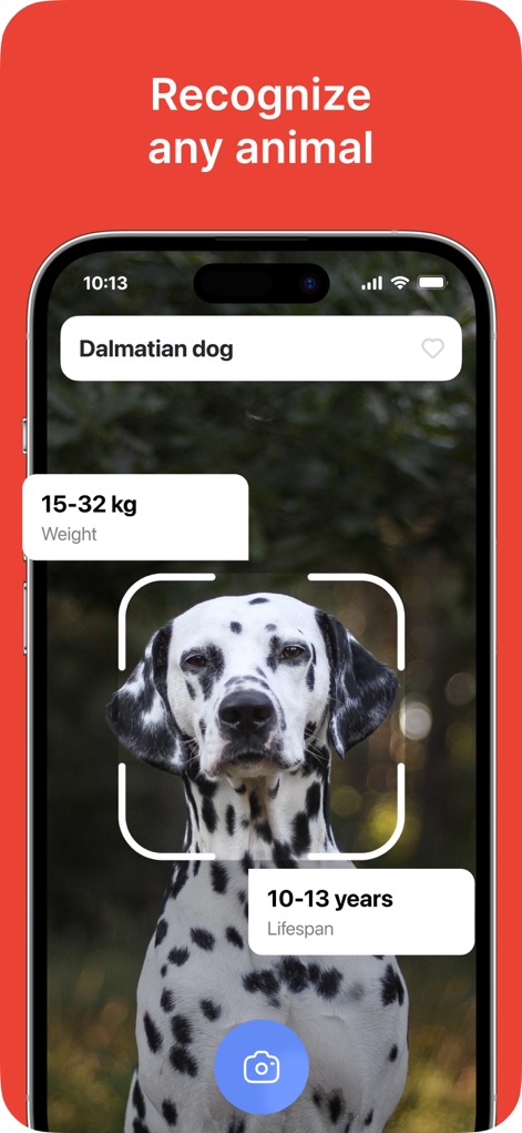 Lens Photo Scan・Identifier All - L'app consente agli utenti di riconoscere varie specie animali, visualizzando informazioni utili come il peso (15-32 kg) e l'aspettativa di vita di un Dalmata.