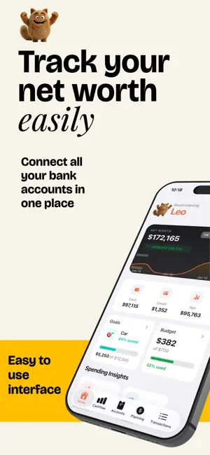 Nugget: Net Worth & Cash Flow screenshot 1