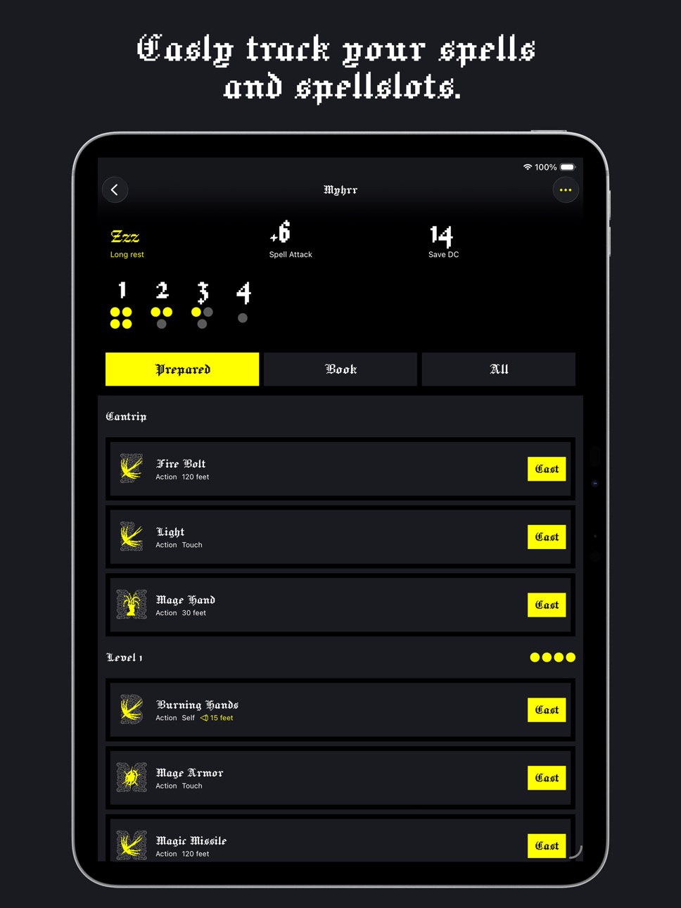 iPad screenshot