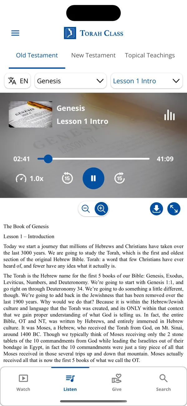 Screenshot #3 pour Torah Class