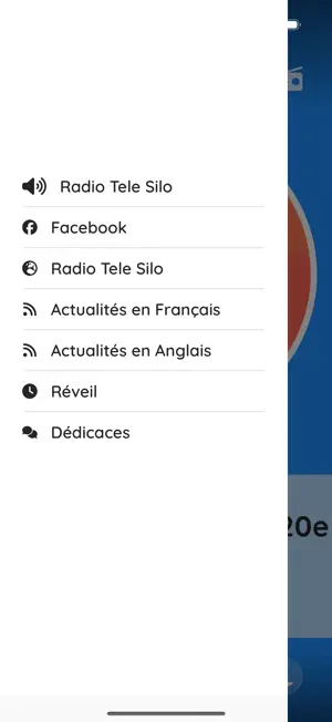 Radio Télé Silo screenshot 1