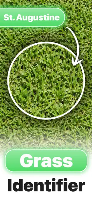 Grass Identifier ° screenshot 1