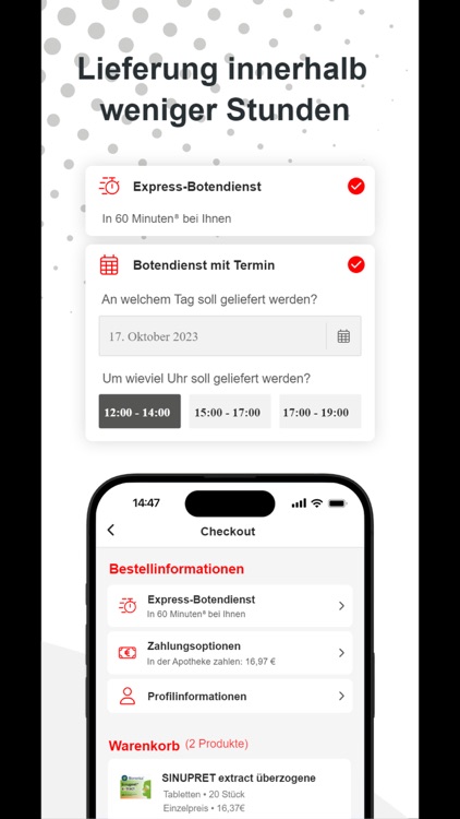 Löwen-Apotheke Radeburg screenshot-4