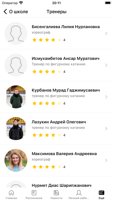 ICE SKATE Screenshot