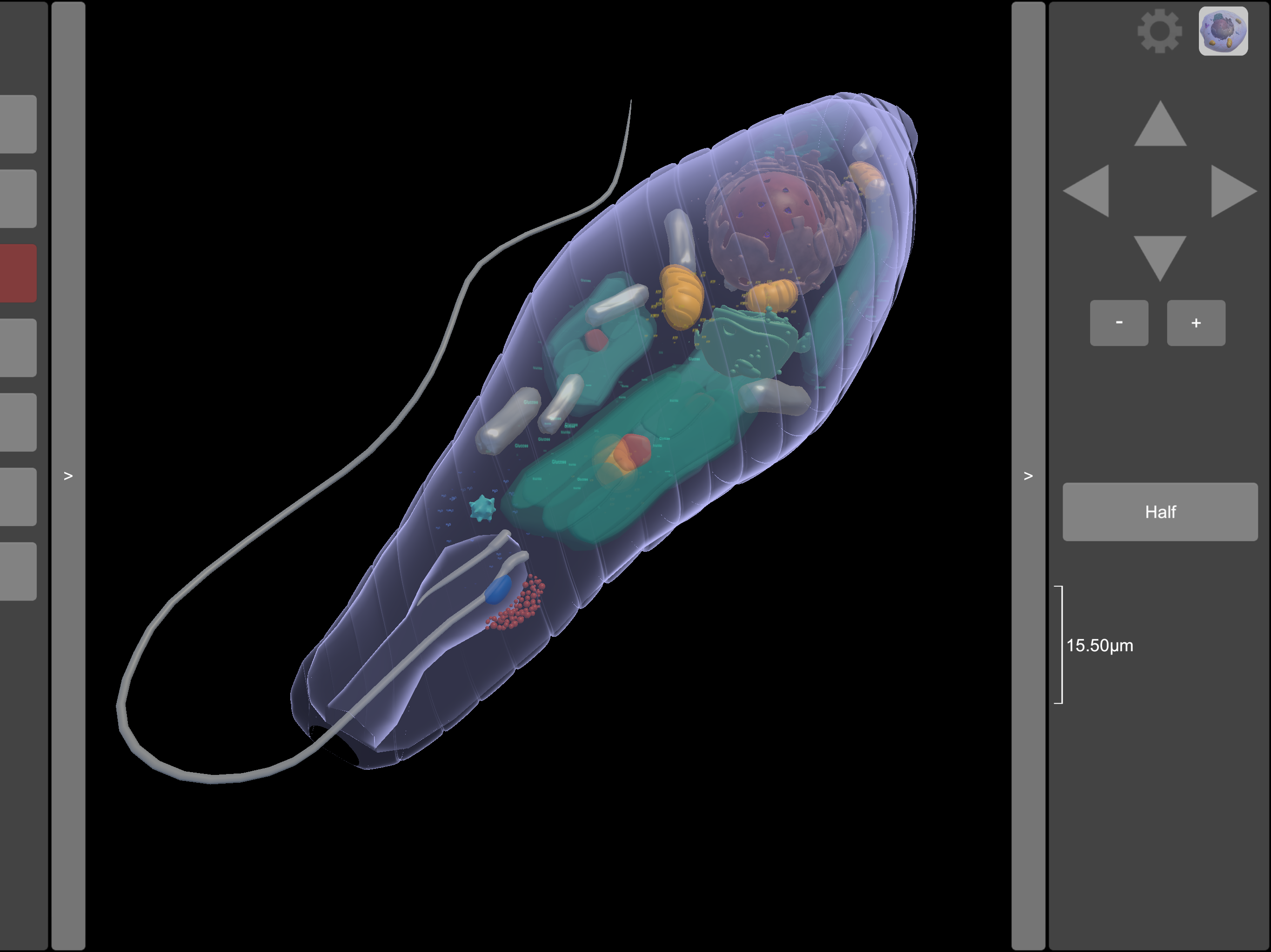 3D Virtual Cell screenshot 10