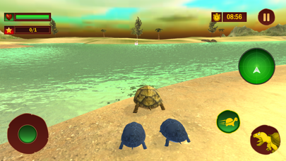 Wild Insect Family Life games Screenshot