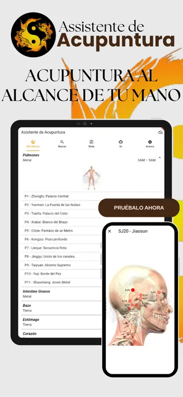 Asistente de Acupuntura screenshot 1 of 8