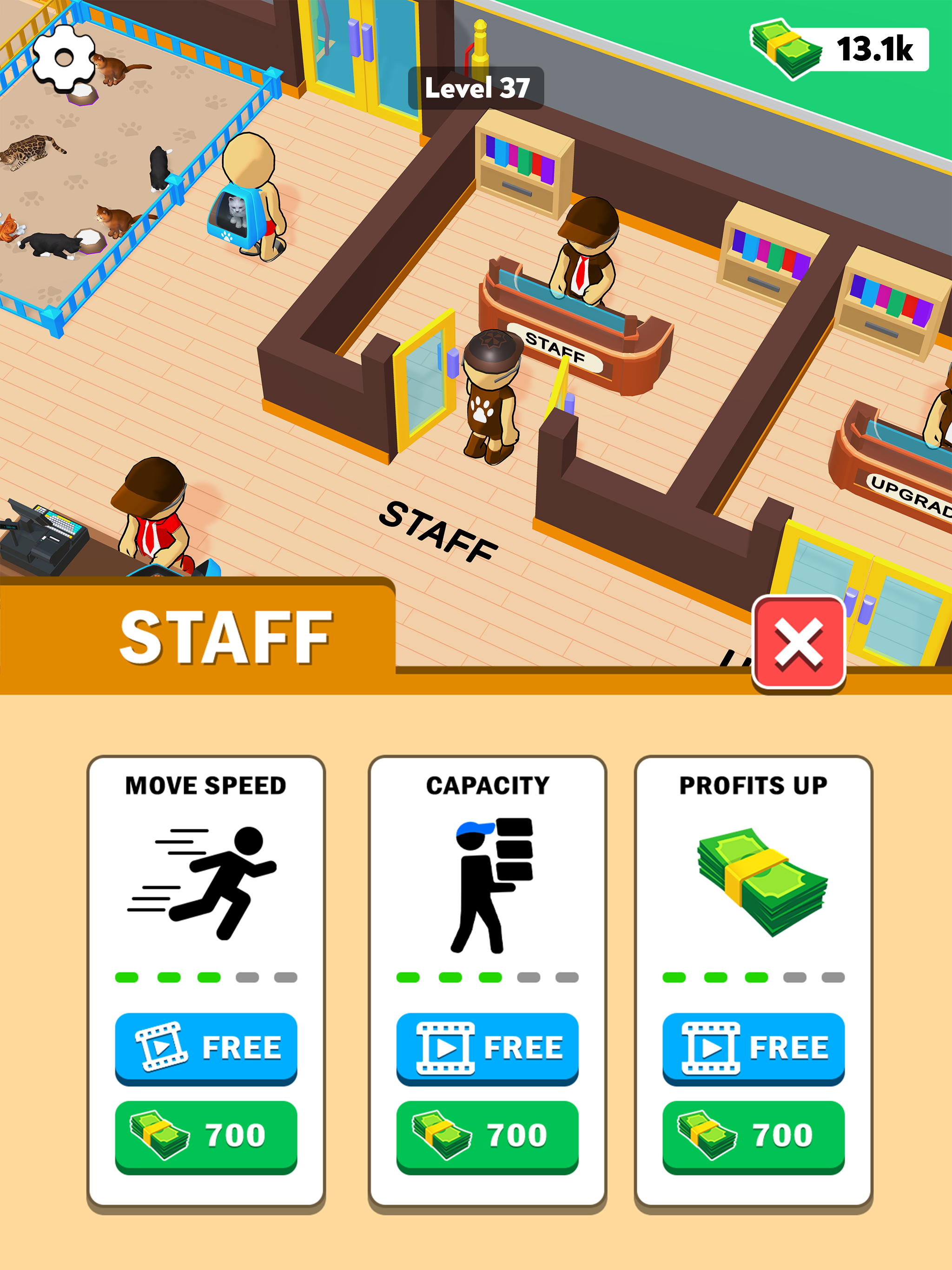 My Cat Cafe!