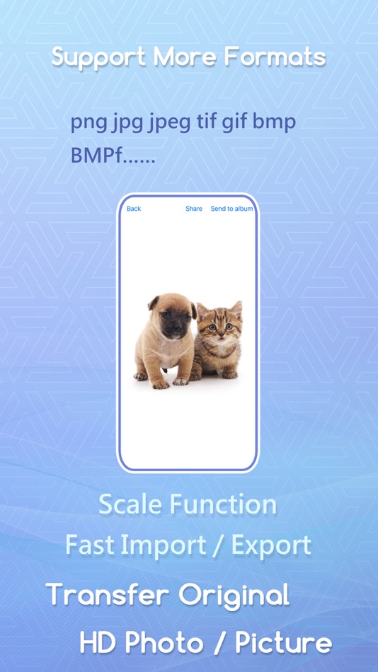 #5. Meow Player-Transfer Play Read (iOS) 作者: yao shi