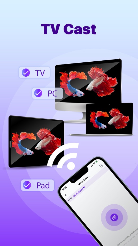 #2. Screen Mirroring - 1001 TVs (iOS) 由: Nero AG