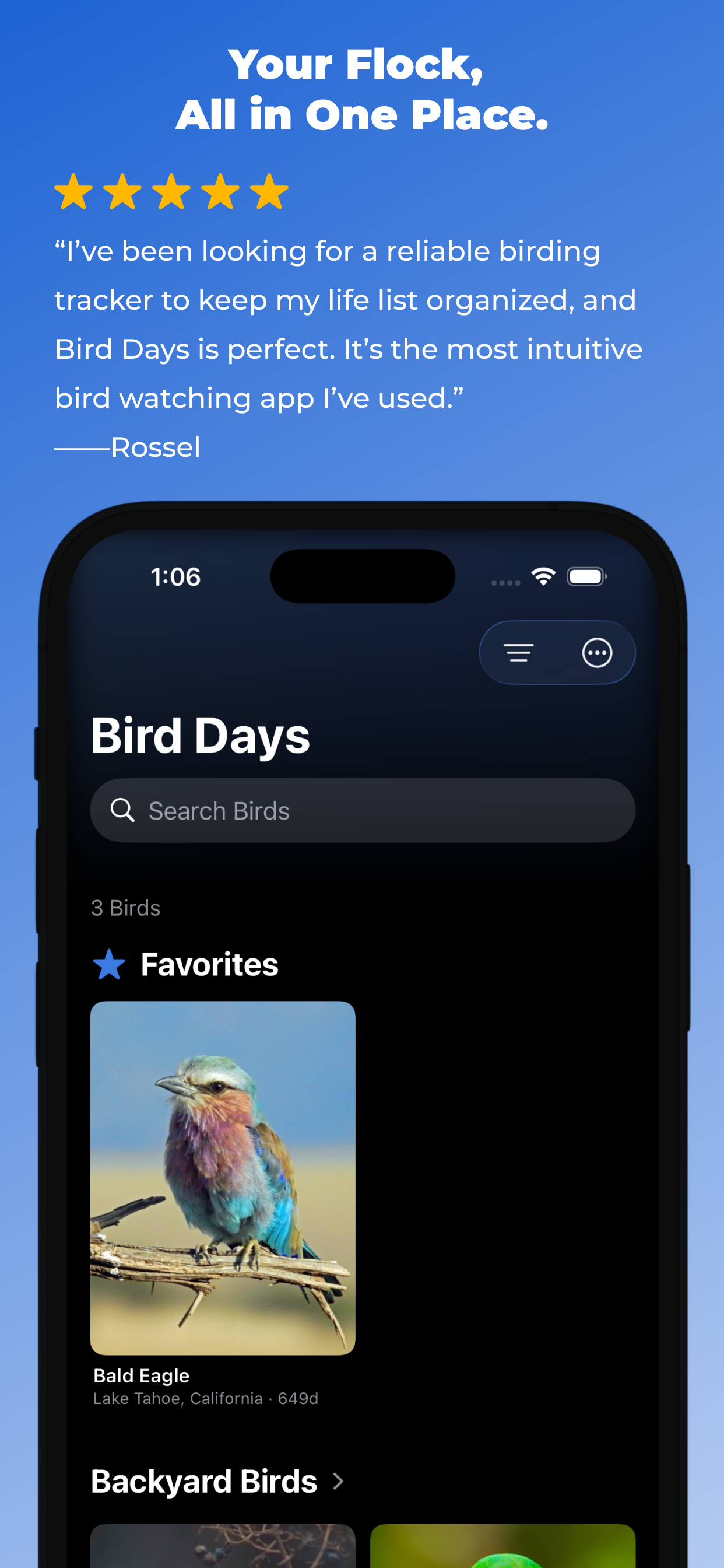 Birds: Cardinal, Owl & Budgie screenshot 3
