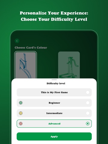 Dutch Blitz - Card Game iPad screenshot