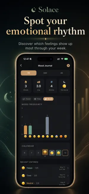 Solace: Private AI Companion screenshot 2