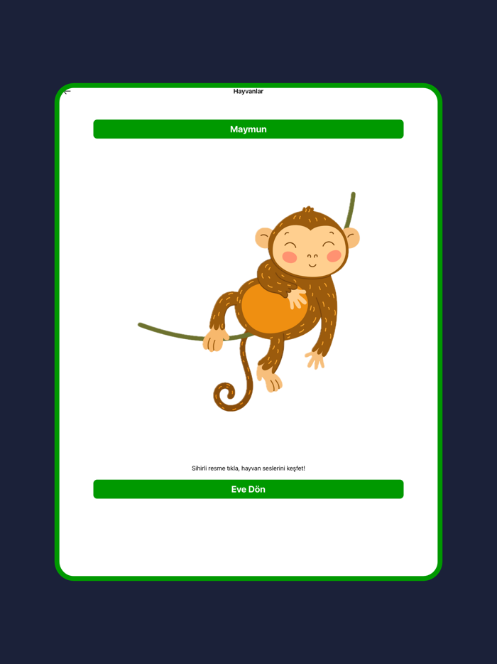 Hayvan Seslerini Öğreniyorum