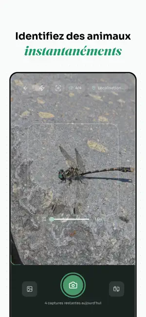 Faunex screenshot 2