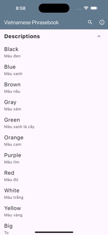 Vietnamese Basic Phrases screenshot