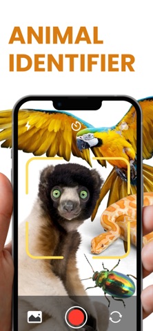 Animal Identifier - Idenimal iPhone screenshot