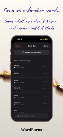 WordBurns screenshot