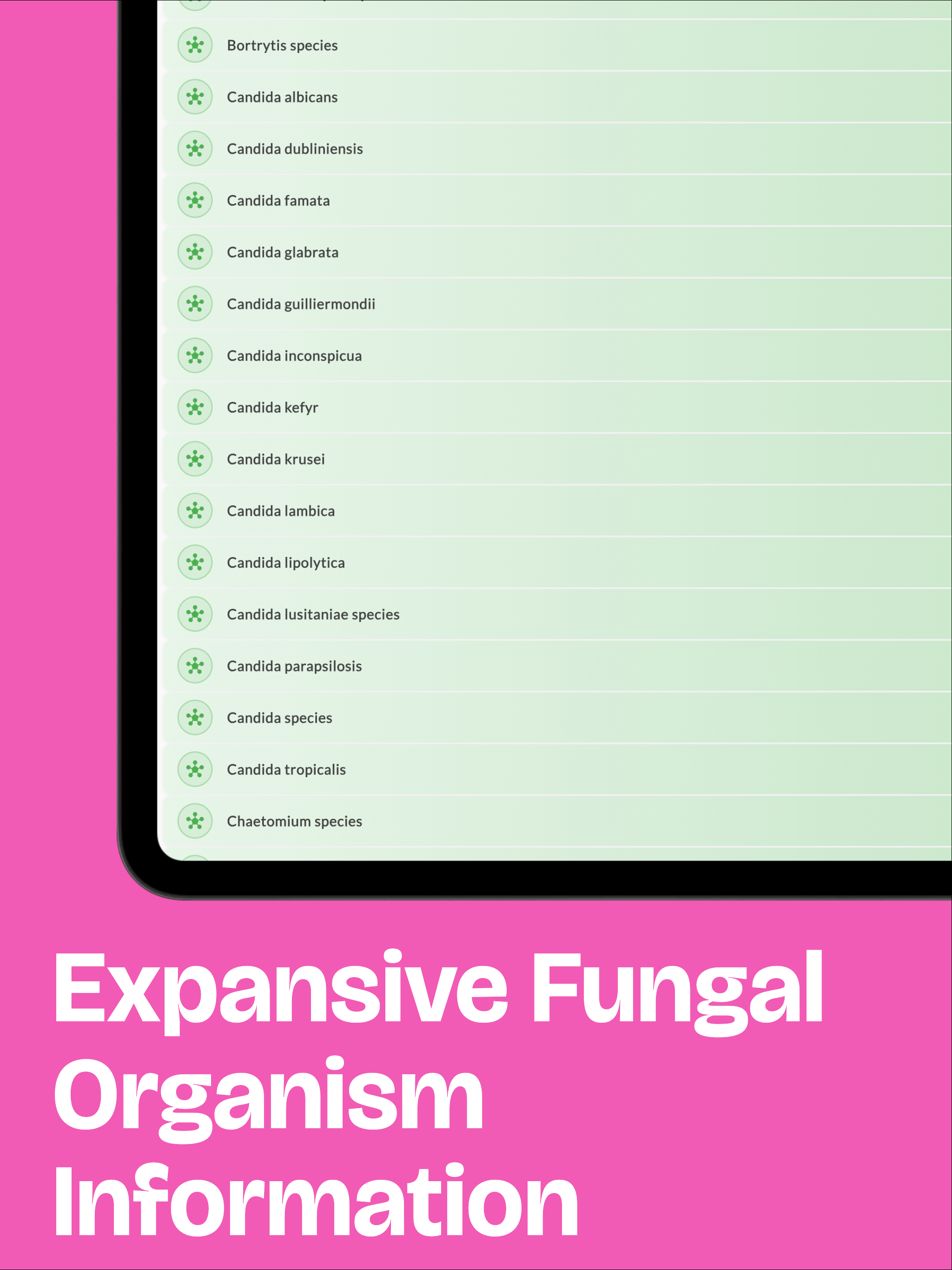 Dr. Fungus