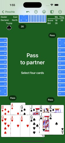 Pinochle - Expert AI iPhone screenshot