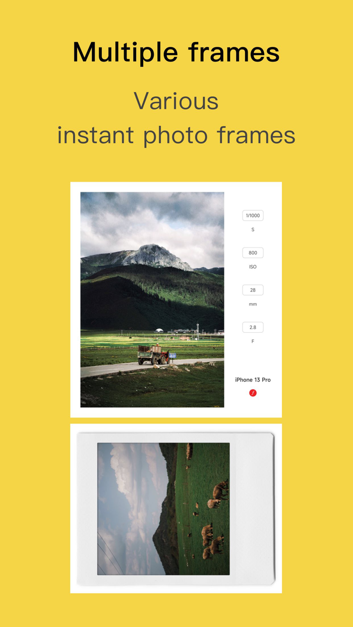 Limi Cam - Retro film Camera