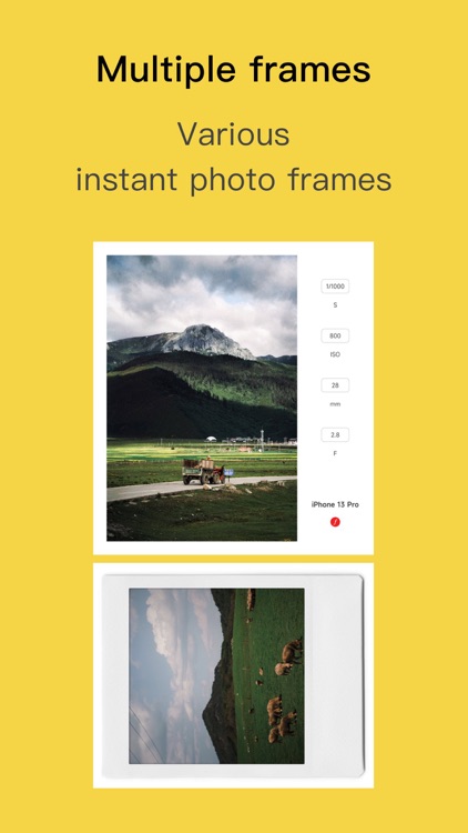 Limi Cam - Retro film Camera screenshot-5