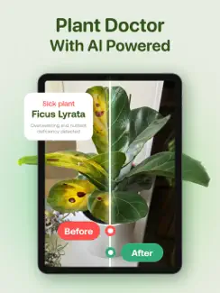AI Plant Identifier - Plant ID iPad image 3