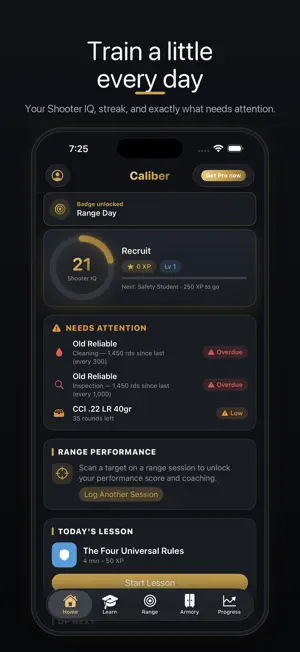 Caliber: Firearm Safety screenshot 2
