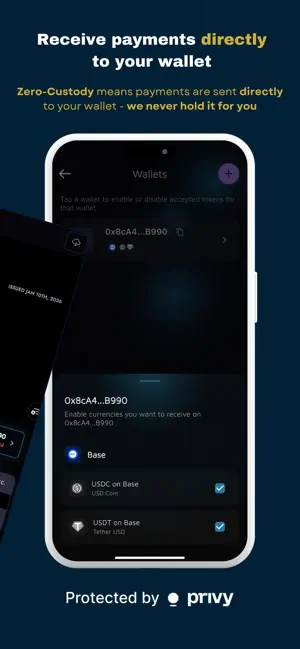 Pvium Pro Wallet screenshot 2