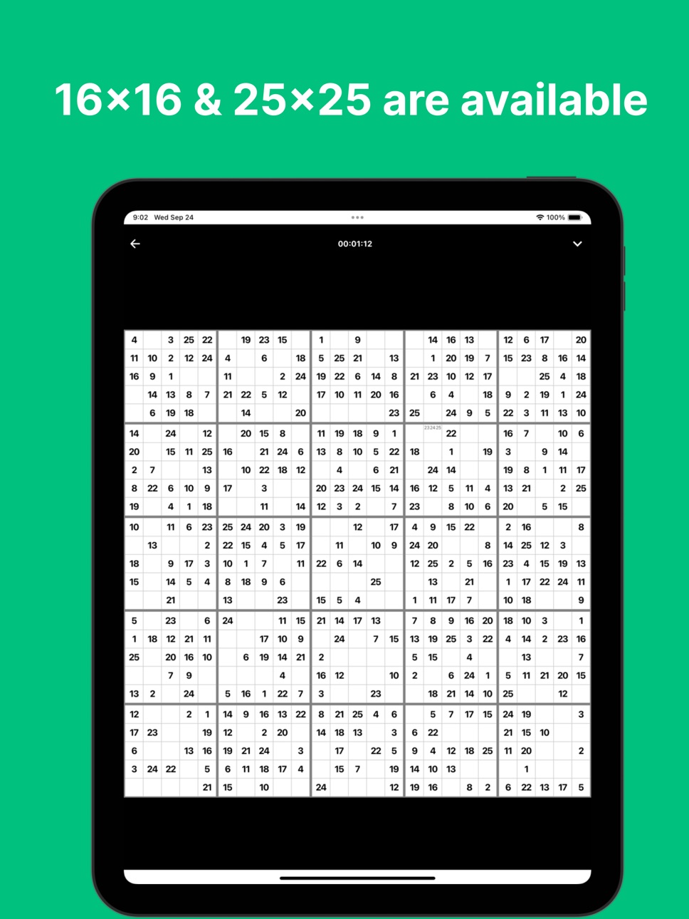 iPad screenshot