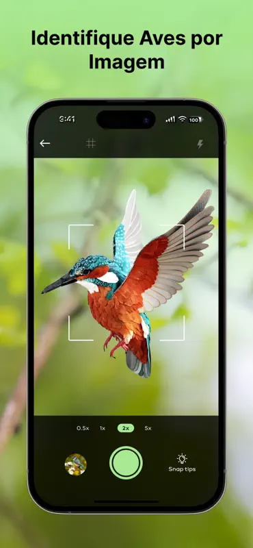 Bird Sounds Identifier Call ID screenshot 3 of 6