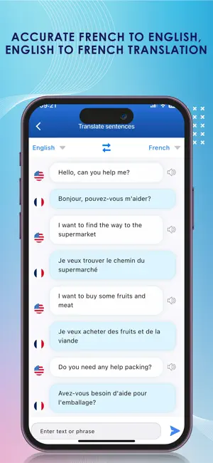 French Dictionary & Translator screenshot 4