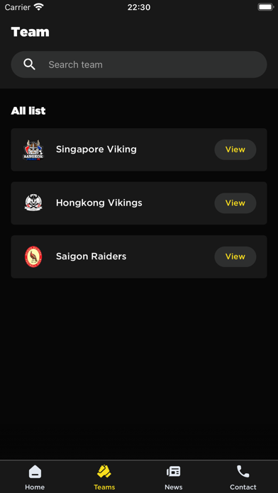 Viking Cup Screenshot