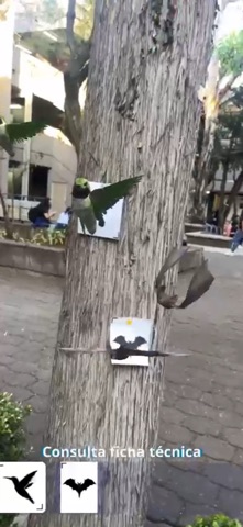 Naturaleza Aumentada screenshot
