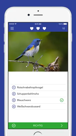 Screenshot von Vogelführer LITE auf dem iPhone 4