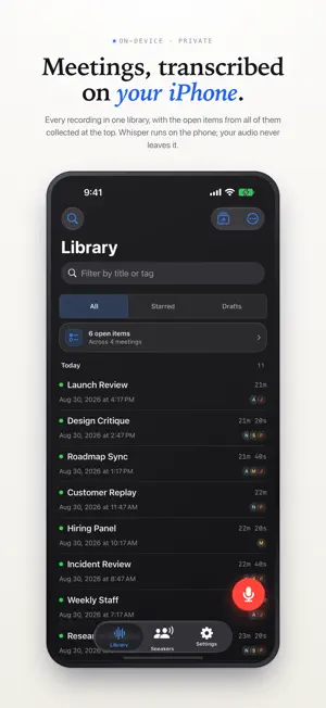 Synopsule screenshot 1