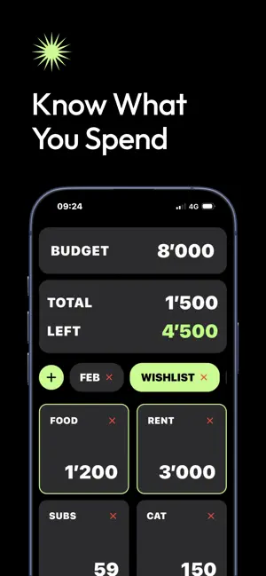 Easy Budget 2 screenshot 2