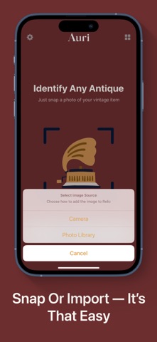 Jewelry Identifier - Auri screenshot