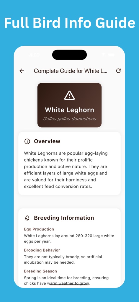 Chicken Identifier: AI Scan - Reference App | MWM