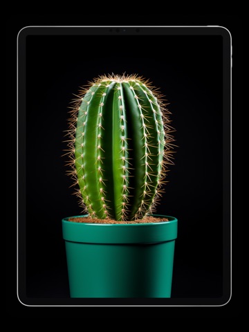 Liquid Glass 26 Wallpapers
