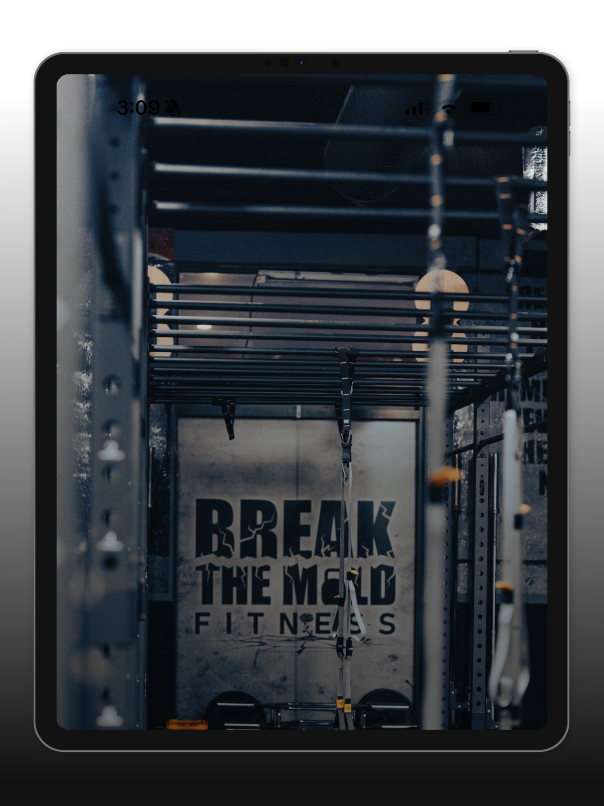 Break the Mold Fitness