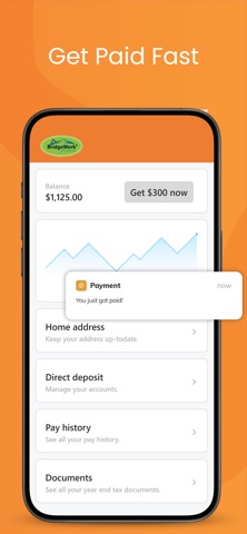 BridgeWork Connect Screenshot 6 of 9