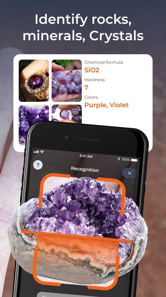 #2. Stone Identifier: Rock Scanner (iOS) 由: AI DEV