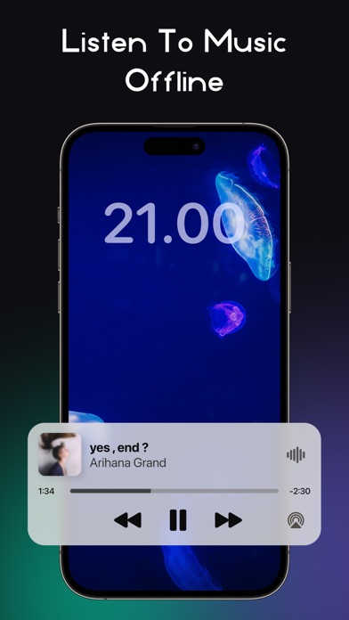 RaMusi: Offline Music Player Screenshot