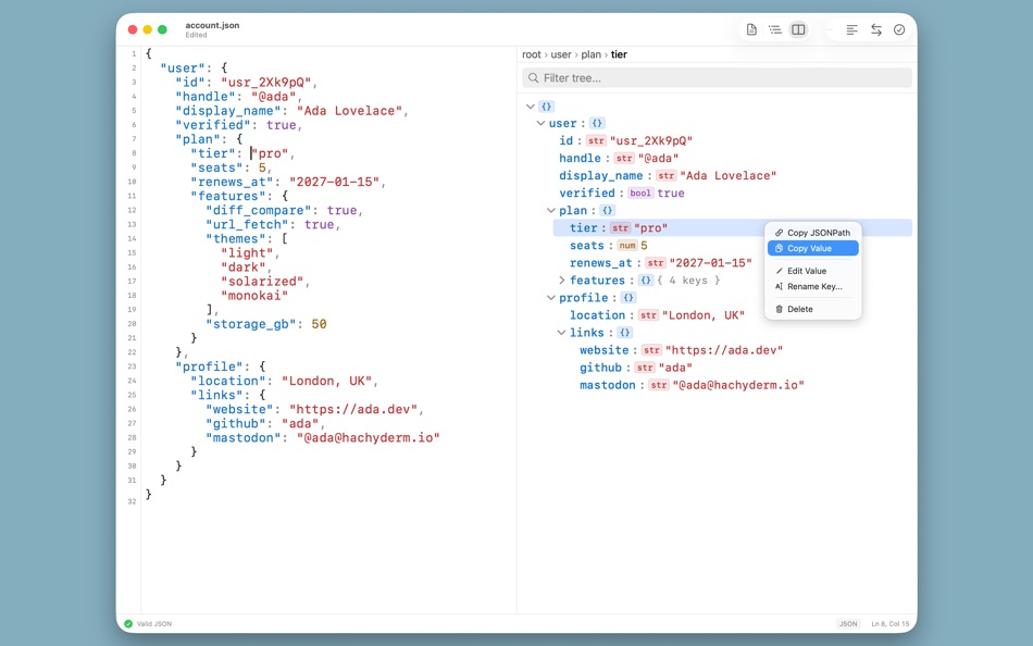 #1. JSON King (macOS) Ved: Saga Labs